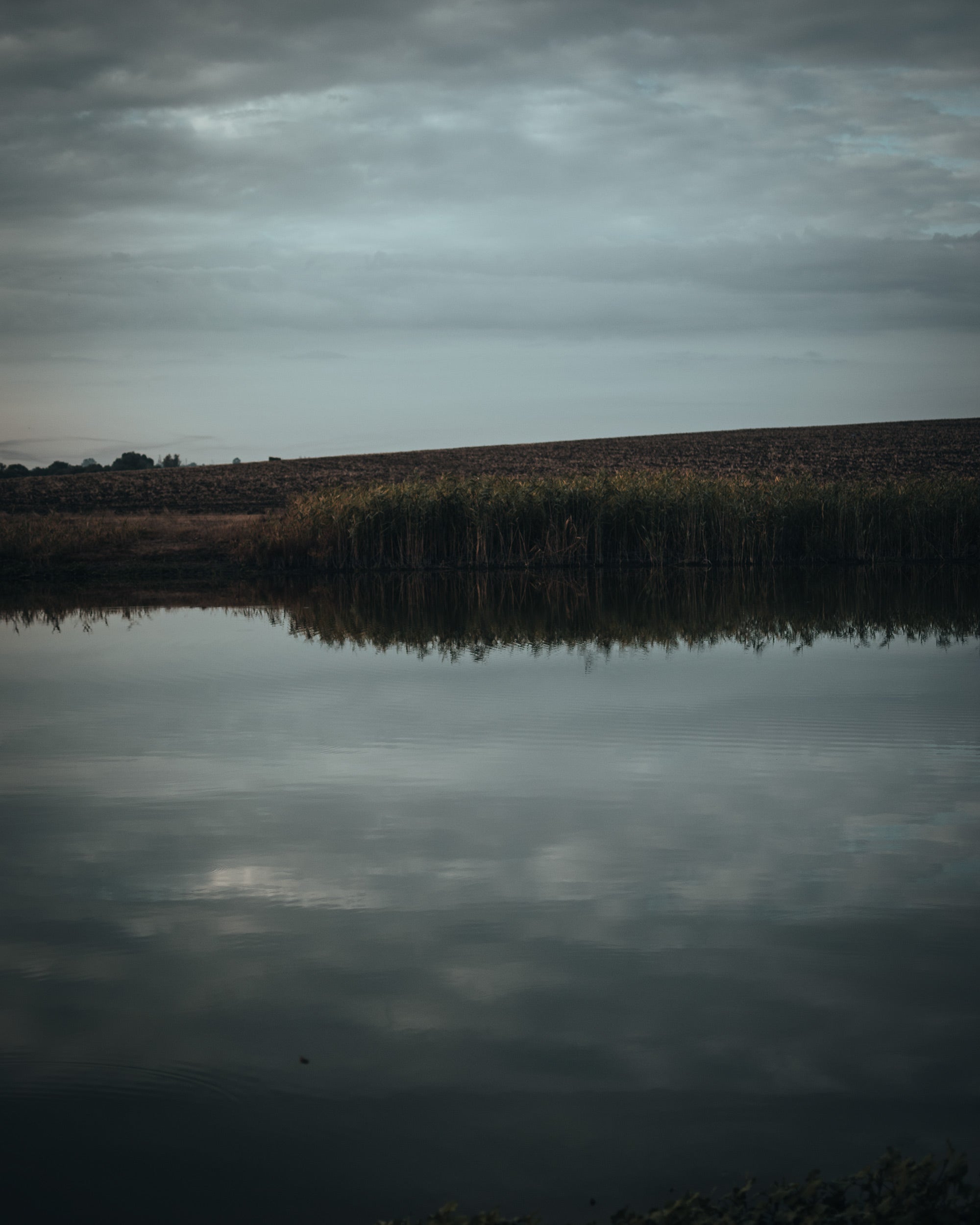 A Tranquil Half-Hour: Rediscovering Serenity by the Lake The Wild Buck