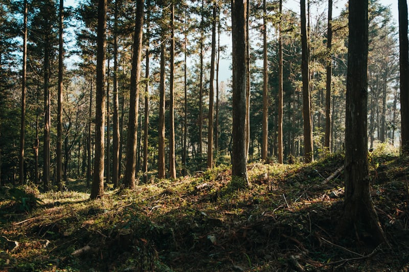 Why Should We Care About the Places We Camp?