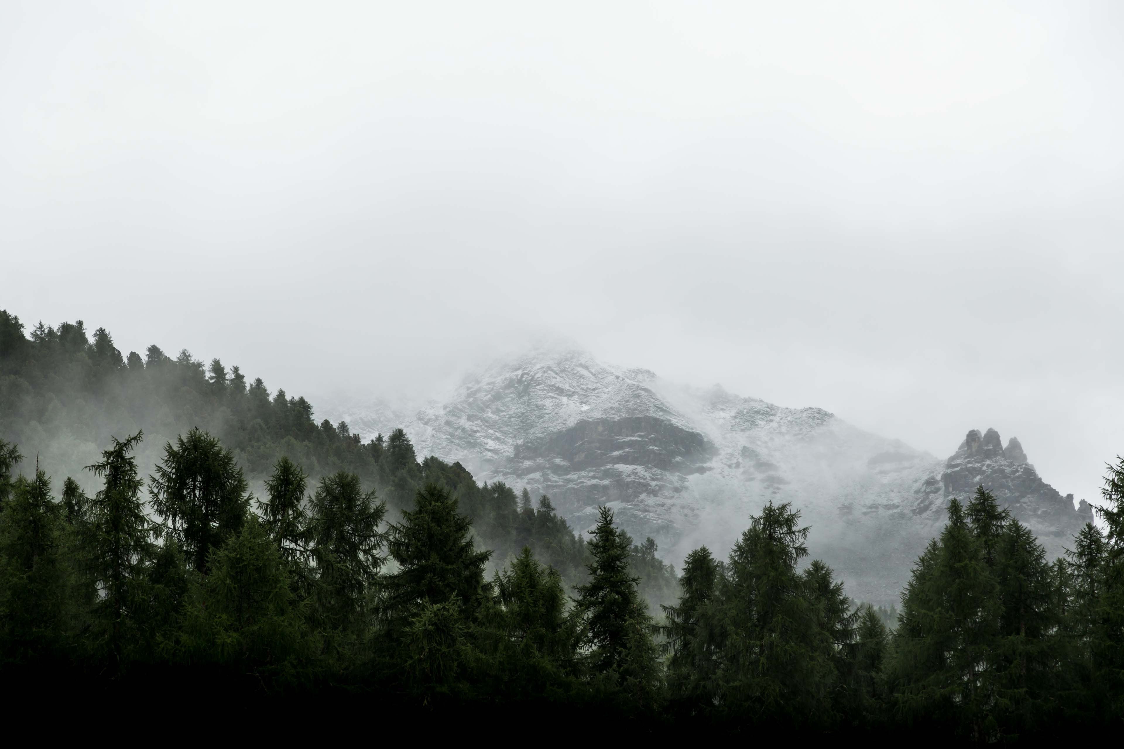 Why We Still Go Outside When We Have Everything at Home